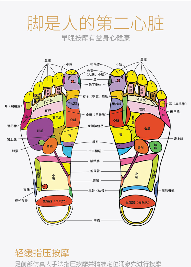 恩隆 家用足疗机足底加热全包裹按摩器电动足部足脚足疗