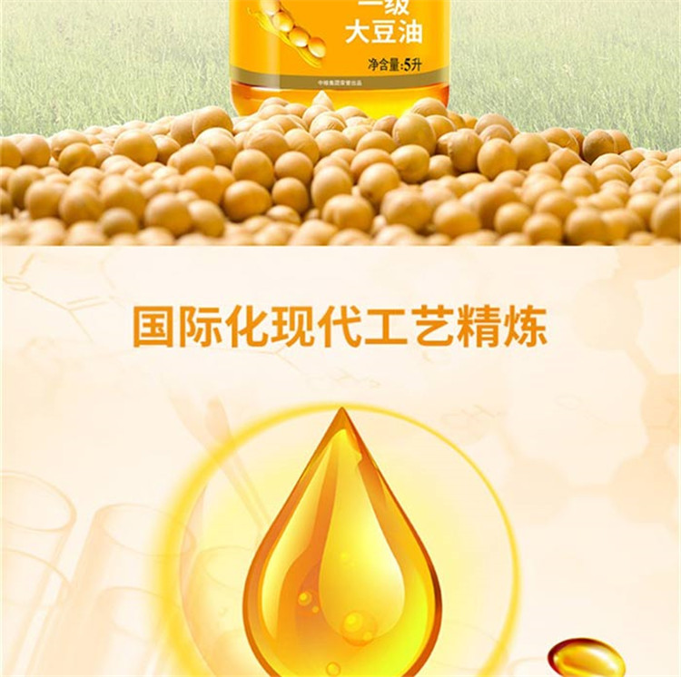 福临门 【2桶装】一级大豆油5l*2桶 家用食用油餐饮色拉黄豆油10升