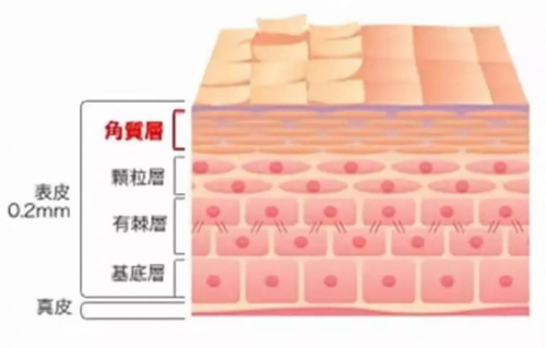 湿疹,皮炎等多种皮肤顽疾反复发作,知道这些,轻松击破