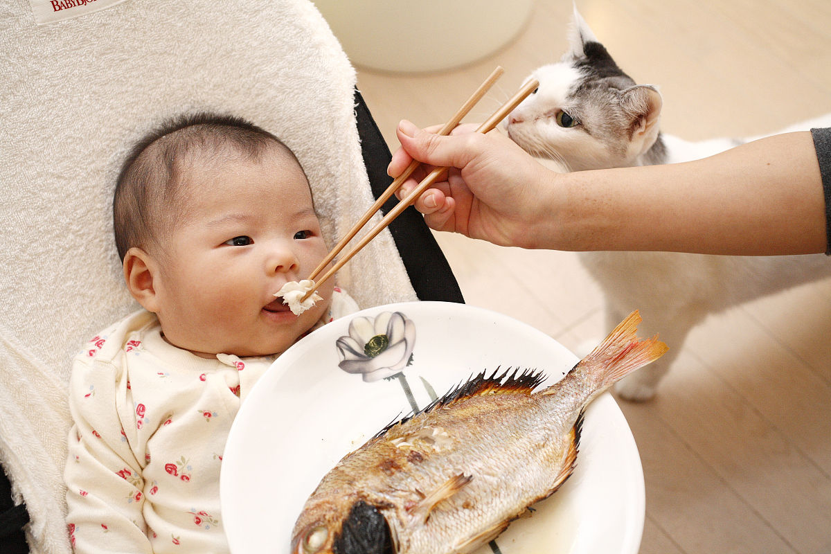 小朋友吃鱼为什么会更聪明?答案来了:鱼肉富含"脑黄金"