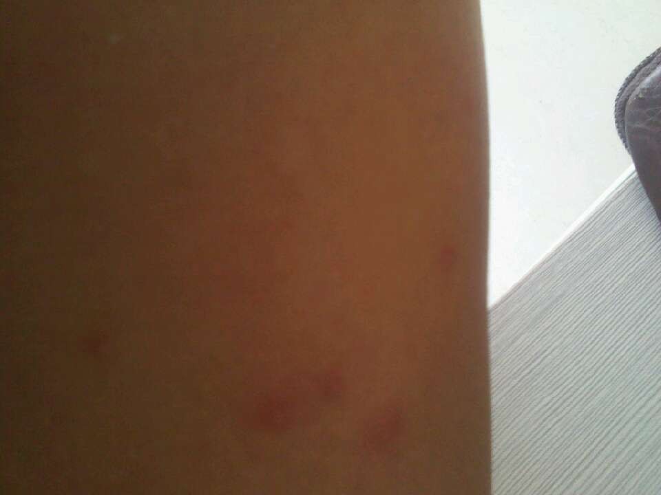 ڷƤоԺ: ݡϼʳ