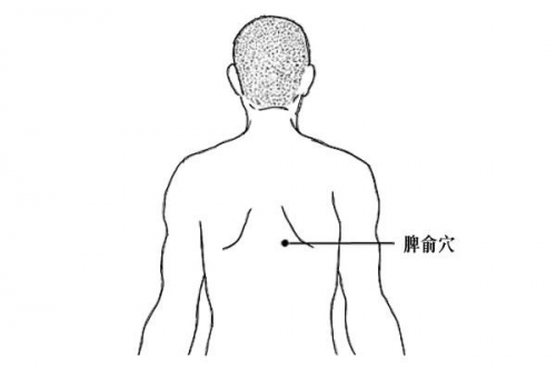 脾俞穴