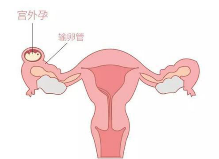 大家都知道经期不能行房,但它有什么害处你们知道吗?