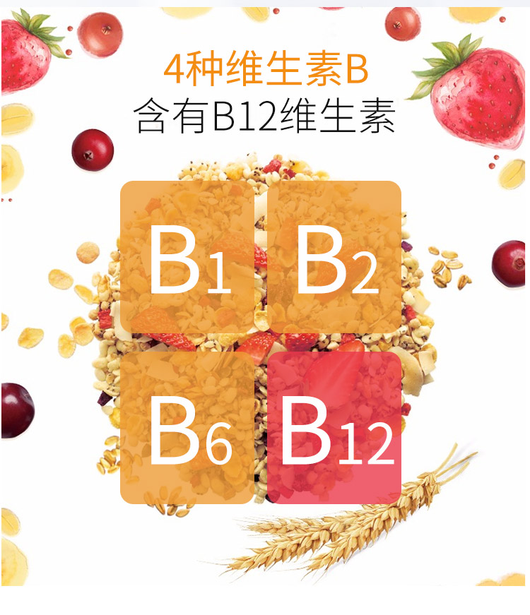 【复合维生素b】 金源 全康牌b族维生素片60粒/瓶 含vb1维b2 b6 b12
