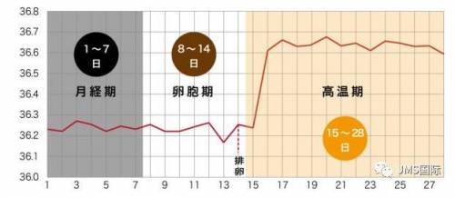 生理 周期 体温 基礎体温と生理のしくみ