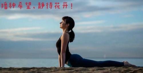 我又来分享干货了 上犬式6大细节和3个发力点 练完腰很轻松 平安健康 我又来分享干货了 上犬式6大细节和3个发力点 练完腰很轻松 平安健康