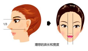 影响鼻子的美 除了高度还有鼻头的大小 平安健康 影响鼻子的美 除了高度还有鼻头的大小 平安健康